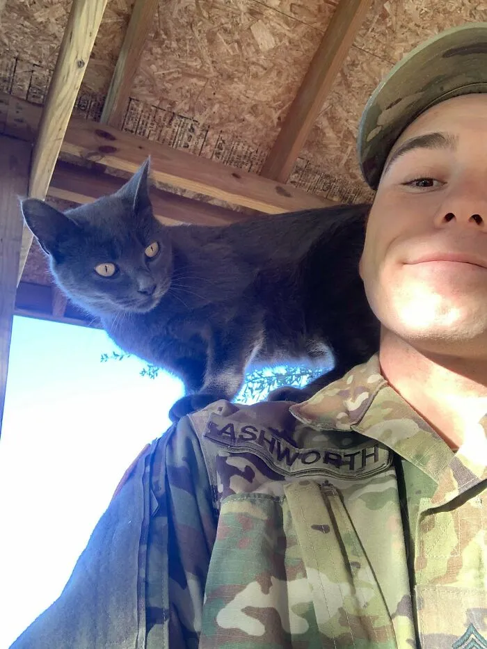 I’m Back Again With A Stray That Adopted Me. Her Name Is Stoner Because She Stole My Taco Bell At 3am. Musta Had The Minchies