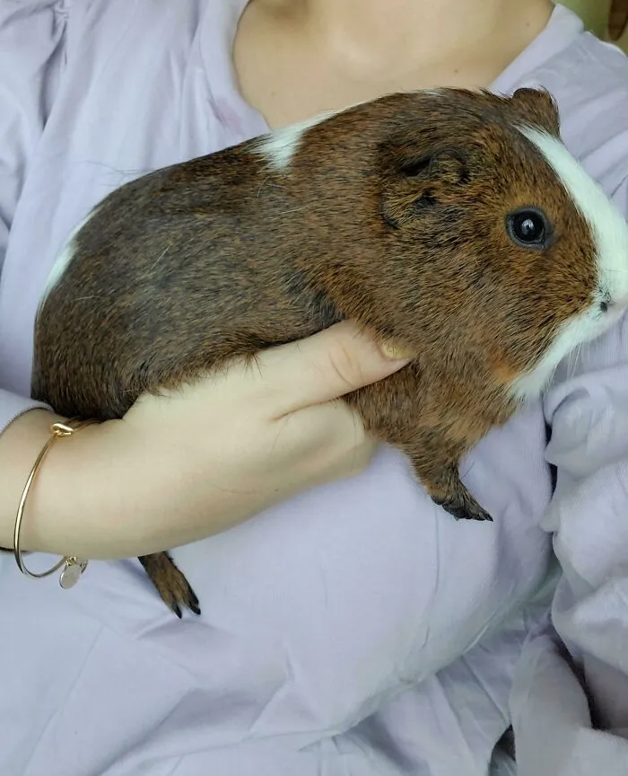 Big Bertha, One Of The 3 Ladies I Adopted Yesterday
