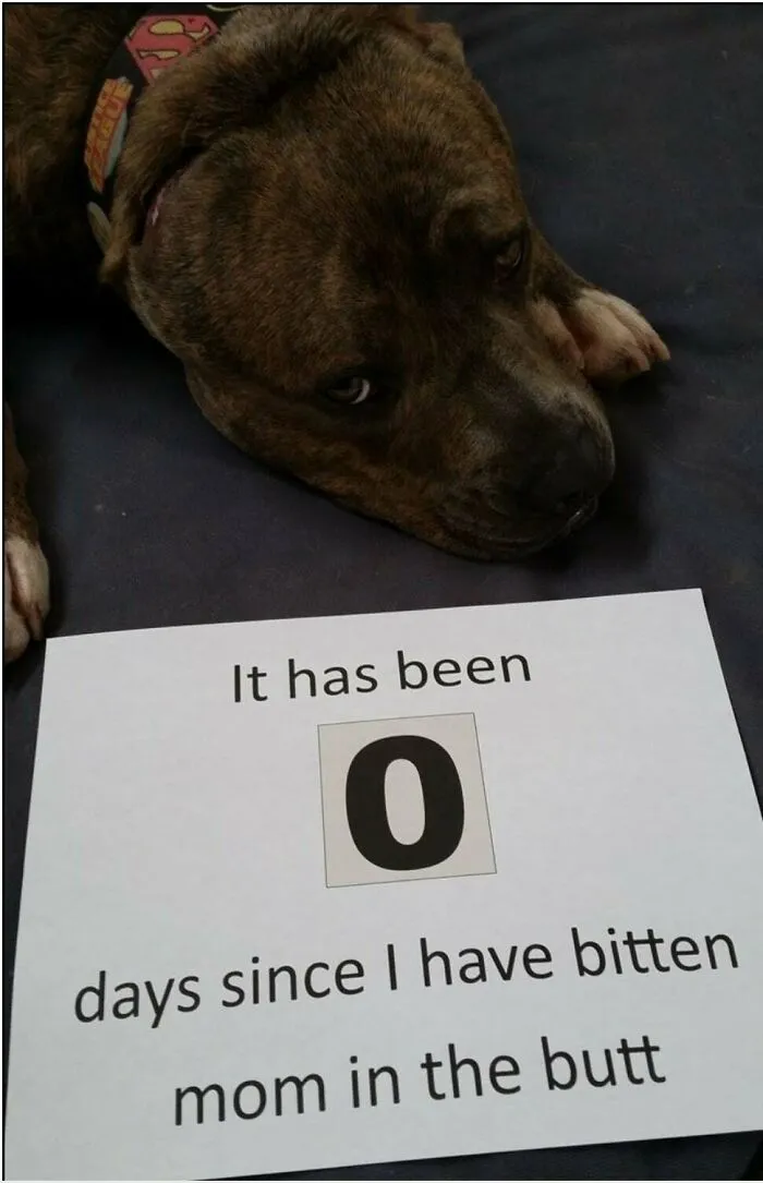 To Keep A Streak Going