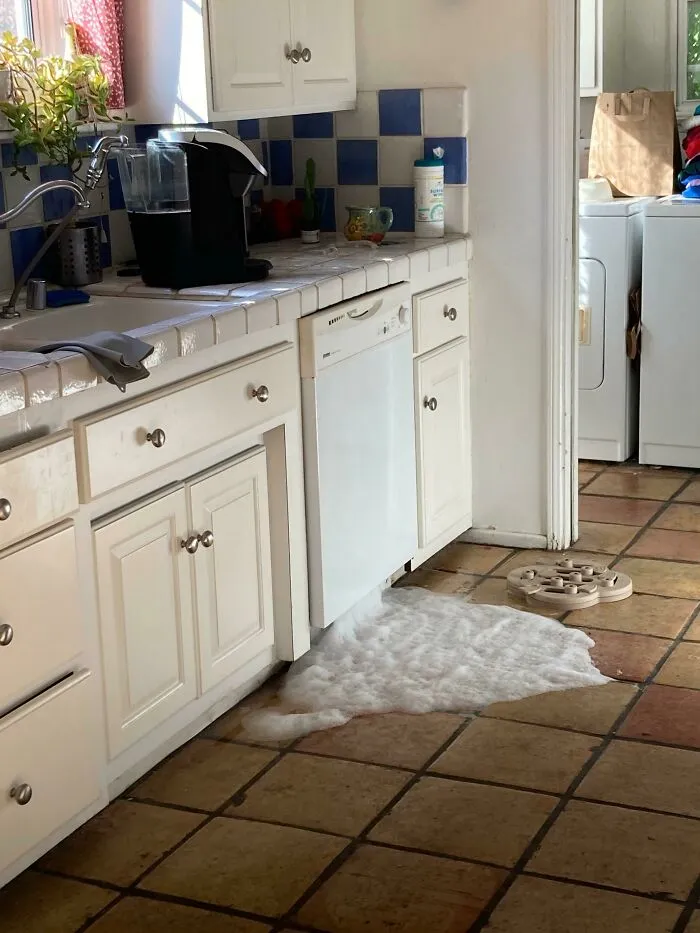 Obviously Scatterbrained Today, I Put A Laundry Detergent Pod In The Dishwasher