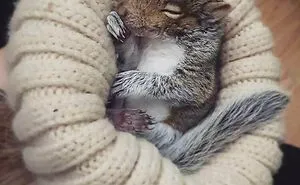 40 Of The Most Wholesome Rescue Pet Photos Of The Month (November Edition)