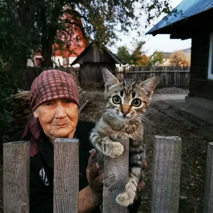A Rural Cat