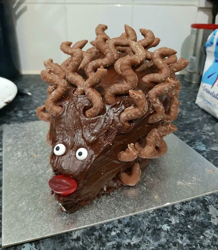 30 Times People Tried Their Hand At Making Hedgehog Cakes But Failed Miserably