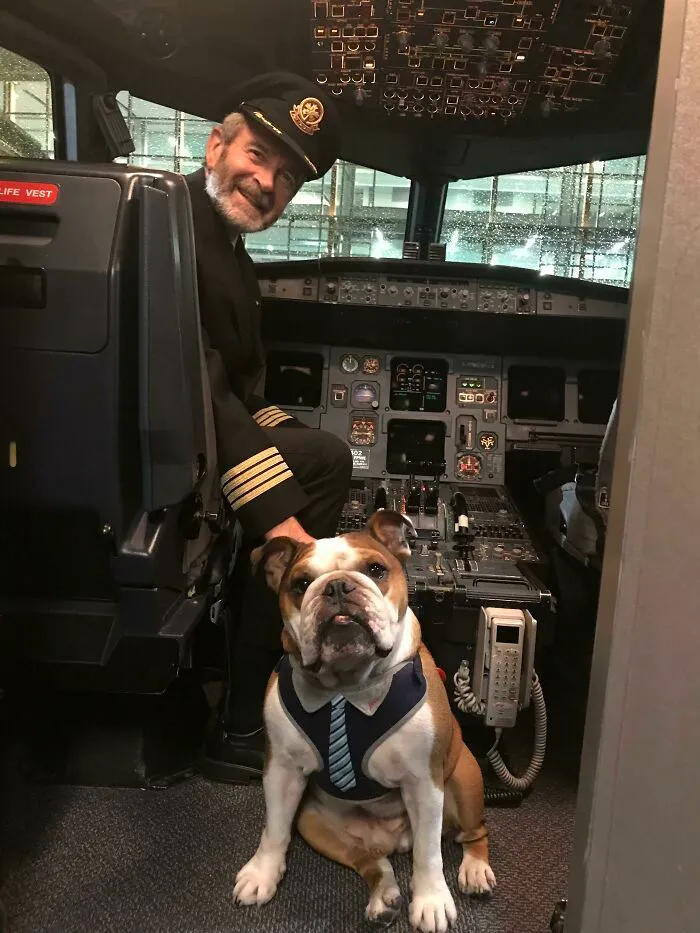 Bentley conoció al capitán después de nuestro vuelo a casa anoche
