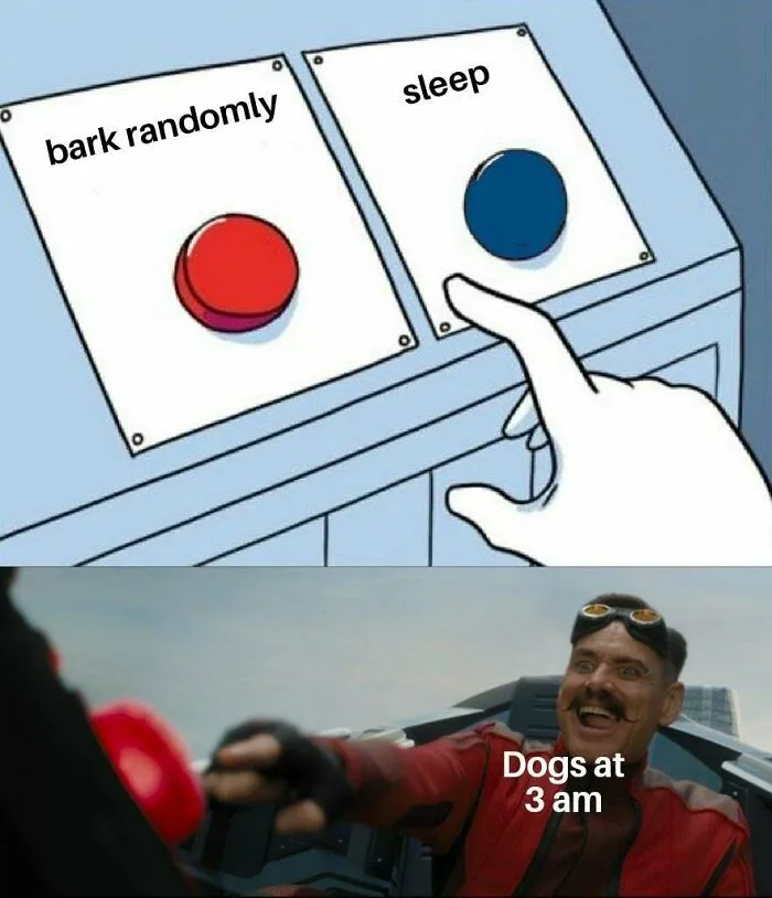 Dogs Be Lik