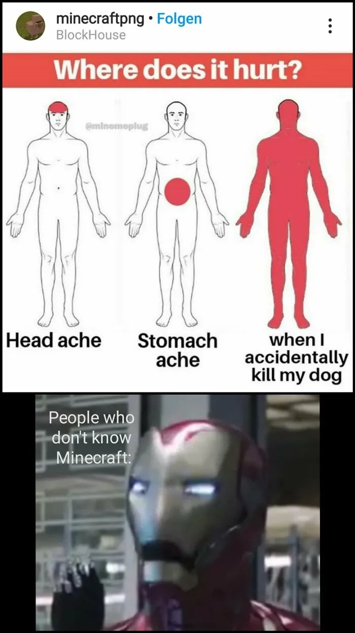 Diagram showing pain areas with "when I accidentally kill my dog" fully highlighted, paired with an Iron Man meme, funny dog memes.
