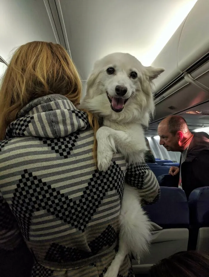 Pedí que me sentaran al lado del tipo más guapo del avión