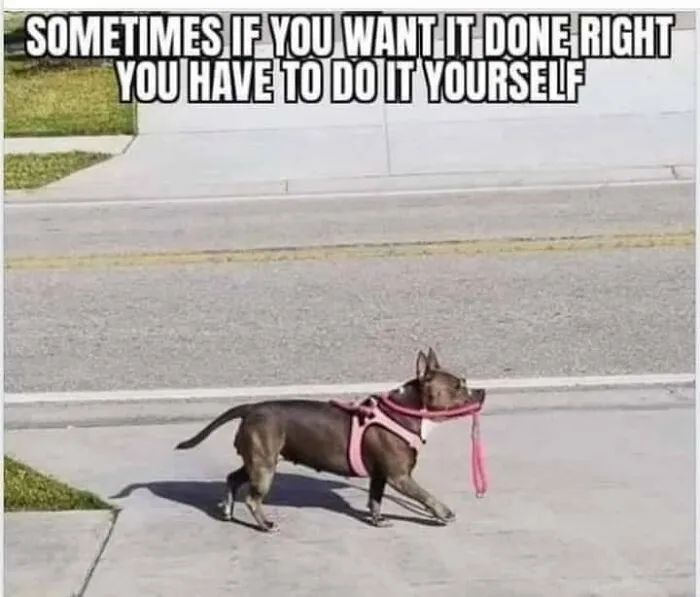 Dog meme showing a small dog wearing a pink harness holding its own leash with the text about doing it yourself.