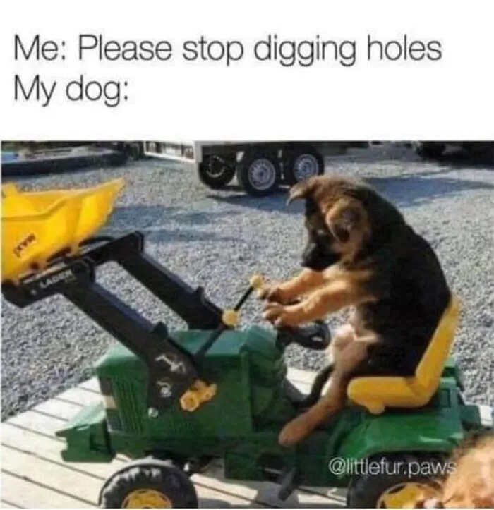 Funny dog meme showing a dog pretending to operate a toy digger, highlighting dog meme humor.