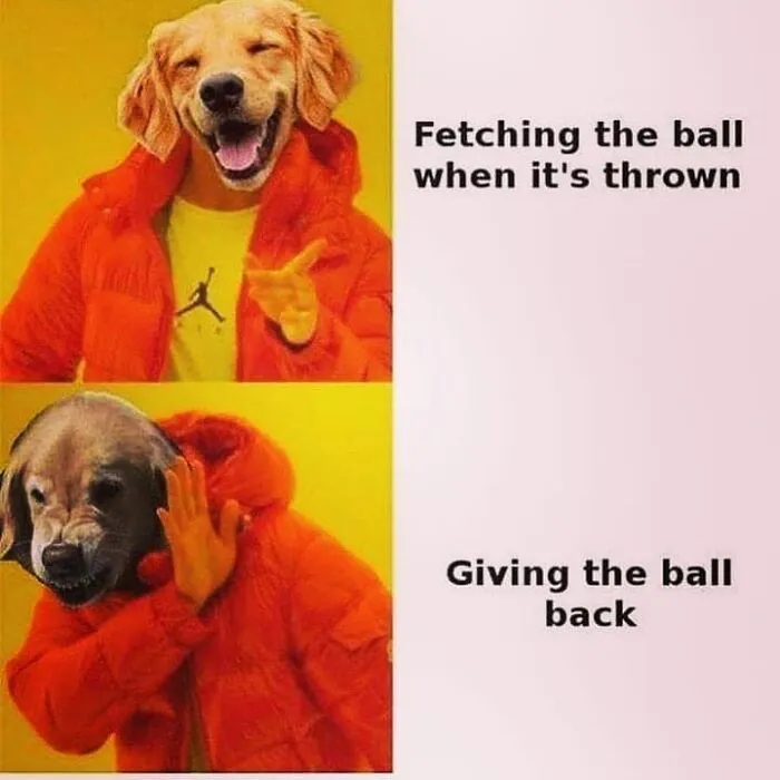 Funny dog meme showing a dog happily fetching a ball but refusing to give the ball back in a playful way.