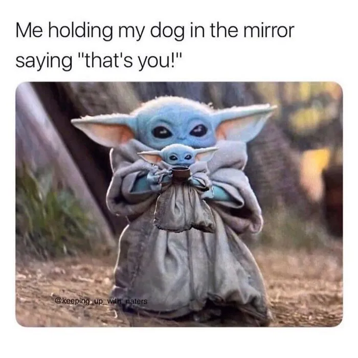 Baby Yoda holding a smaller Baby Yoda doll, humorous dog meme concept for funniest dog memes content.