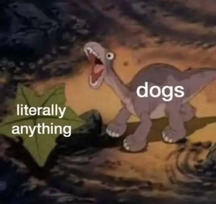 Animated dinosaur labeled dogs excitedly reacting to a leaf labeled literally anything in a funny dog meme.