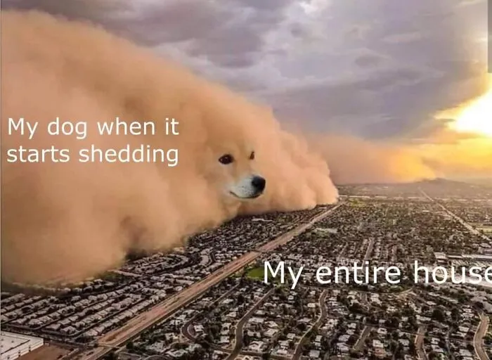 A giant dog-shaped dust cloud rolling over a city, humorously representing dog shedding covering an entire house.