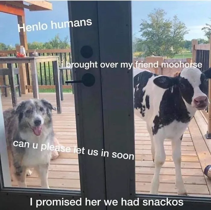 Unexpected Guests Arrived