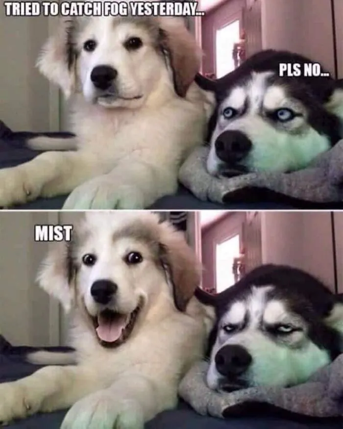 Pun Intended