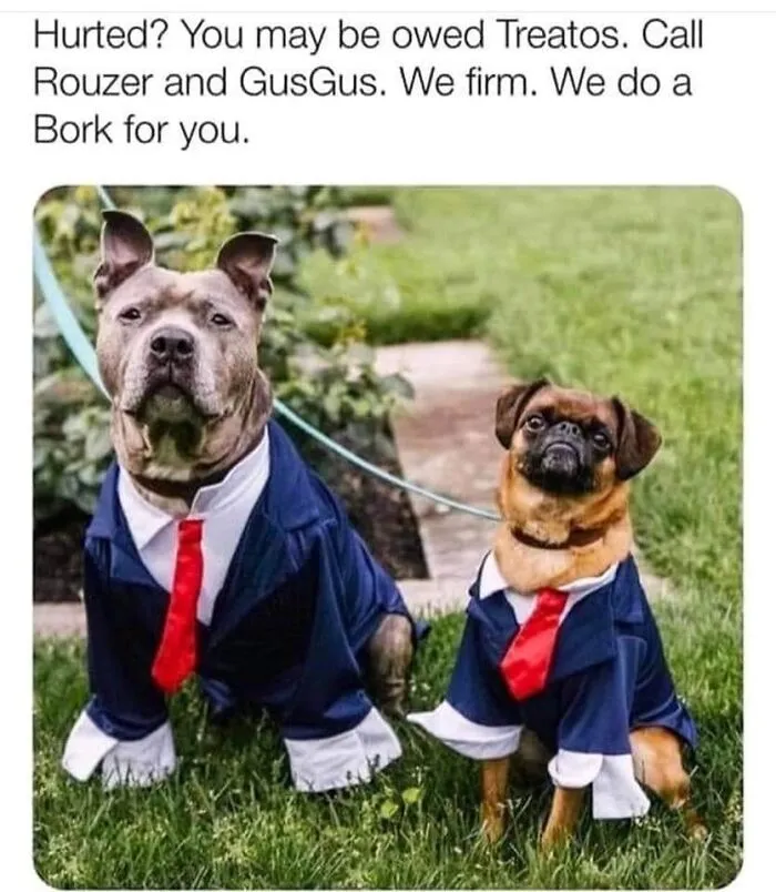 Two dogs dressed in blue suits and red ties sitting on grass in a funny dog memes photo.