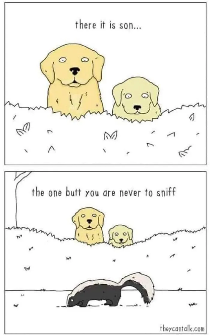 Cartoon dogs pointing out a skunk as the one butt dogs should never sniff in a funny dog memes comic.