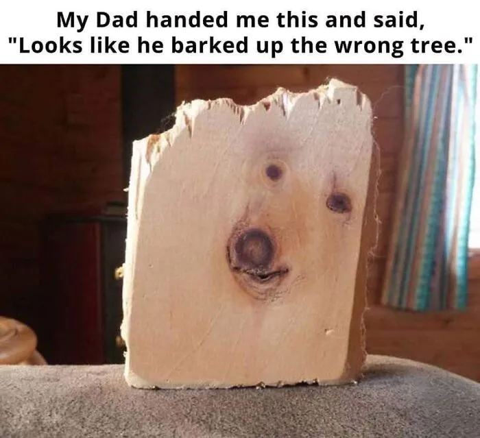 Piece of wood with natural knots resembling a dog's face, featured in a collection of funny dog memes.