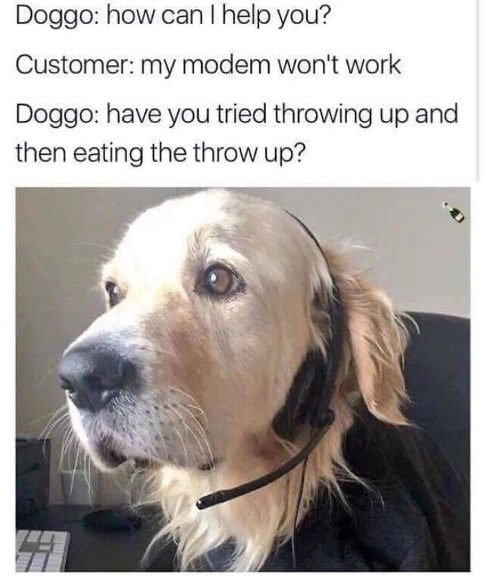 Golden retriever wearing a headset giving funny dog meme tech support advice about modem issues.