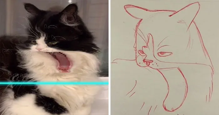17 Funny Illustrations Of Cats And Dogs After They Were Captured With The Time Warp Scan Filter, Drawn By An Artist On TikTok