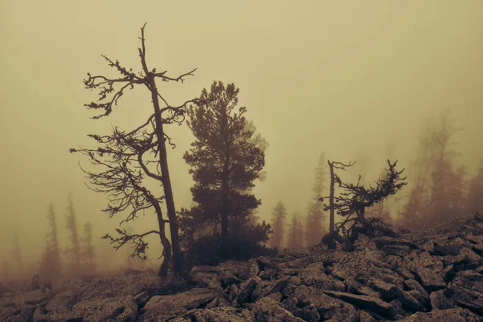 My 35 Photographs Of Ukrainian Carpathians