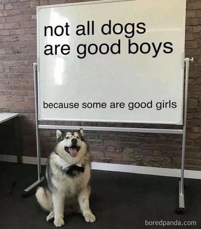Gender Equality 101 