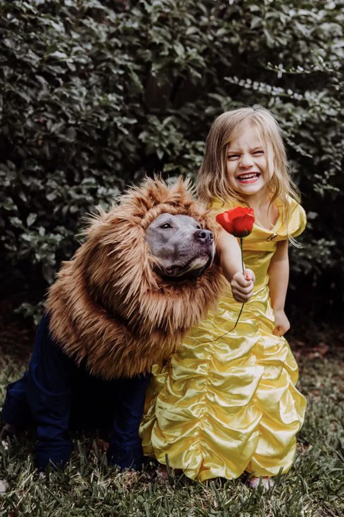 Beauty And The Beast