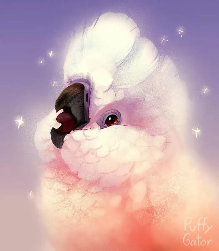 30 Adorable Wild Animal And Pet Illustrations By Nana Key