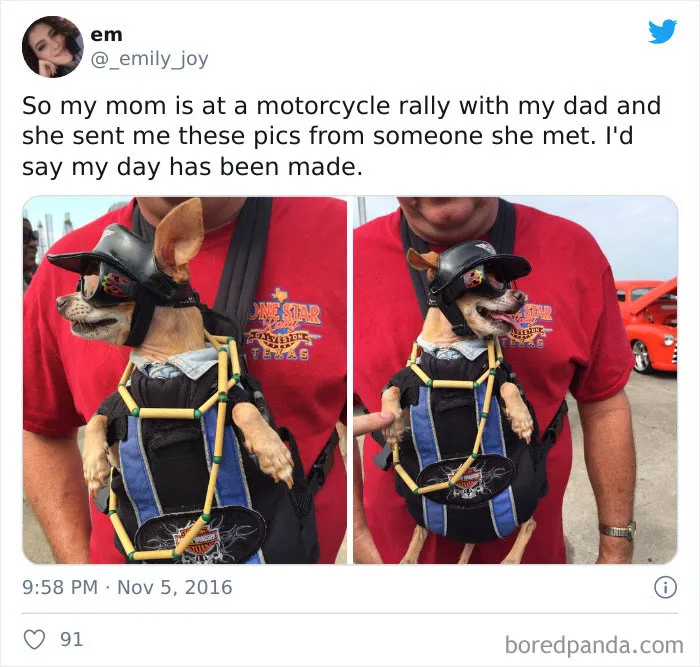 This Dad Who Took The Family Dog To A Motorcycle Event