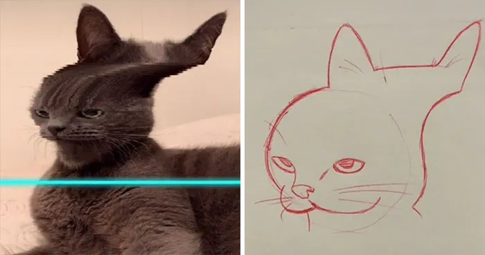 17 Funny Illustrations Of Cats And Dogs After They Were Captured With The Time Warp Scan Filter, Drawn By An Artist On TikTok