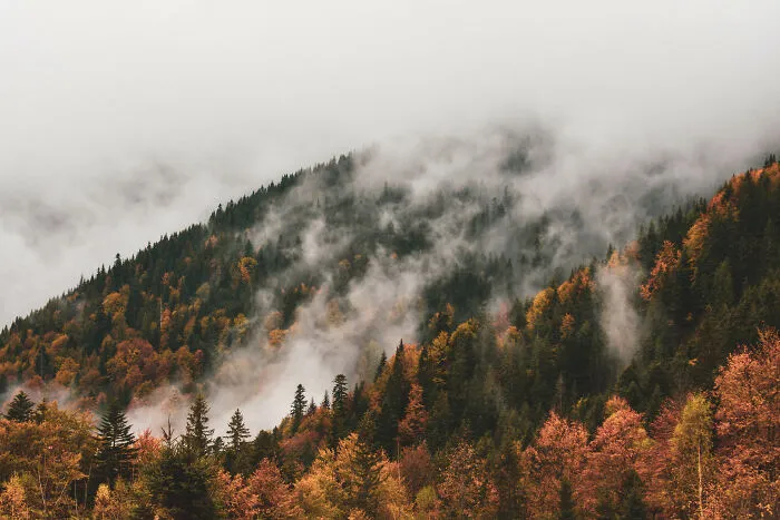 My 35 Photographs Of Ukrainian Carpathians