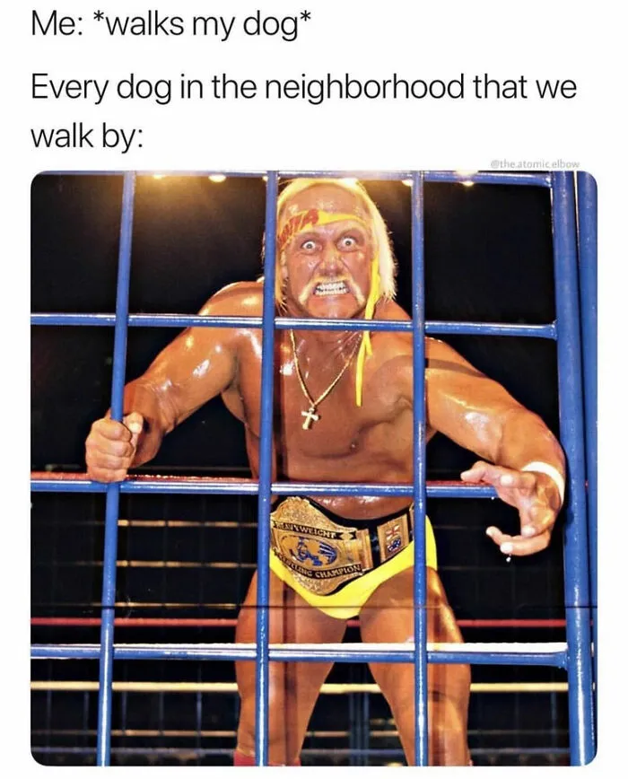 Neighborhood