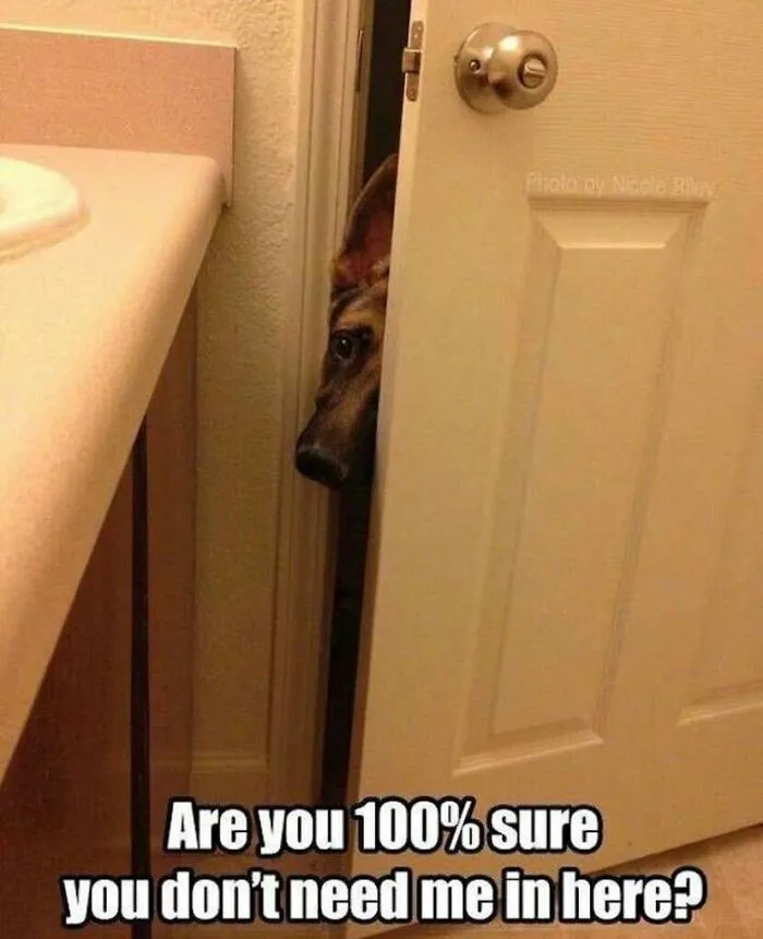 You Sure?