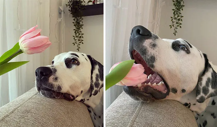 People Are Sharing Honest Instagram Vs. Reality Comparisons (30 Pics)