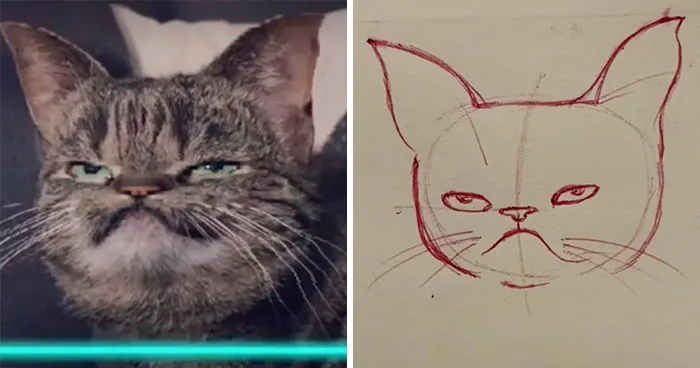17 Funny Illustrations Of Cats And Dogs After They Were Captured With The Time Warp Scan Filter, Drawn By An Artist On TikTok