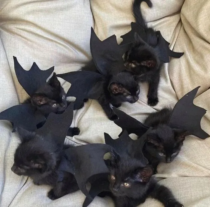 Justo a tiempo para Halloween