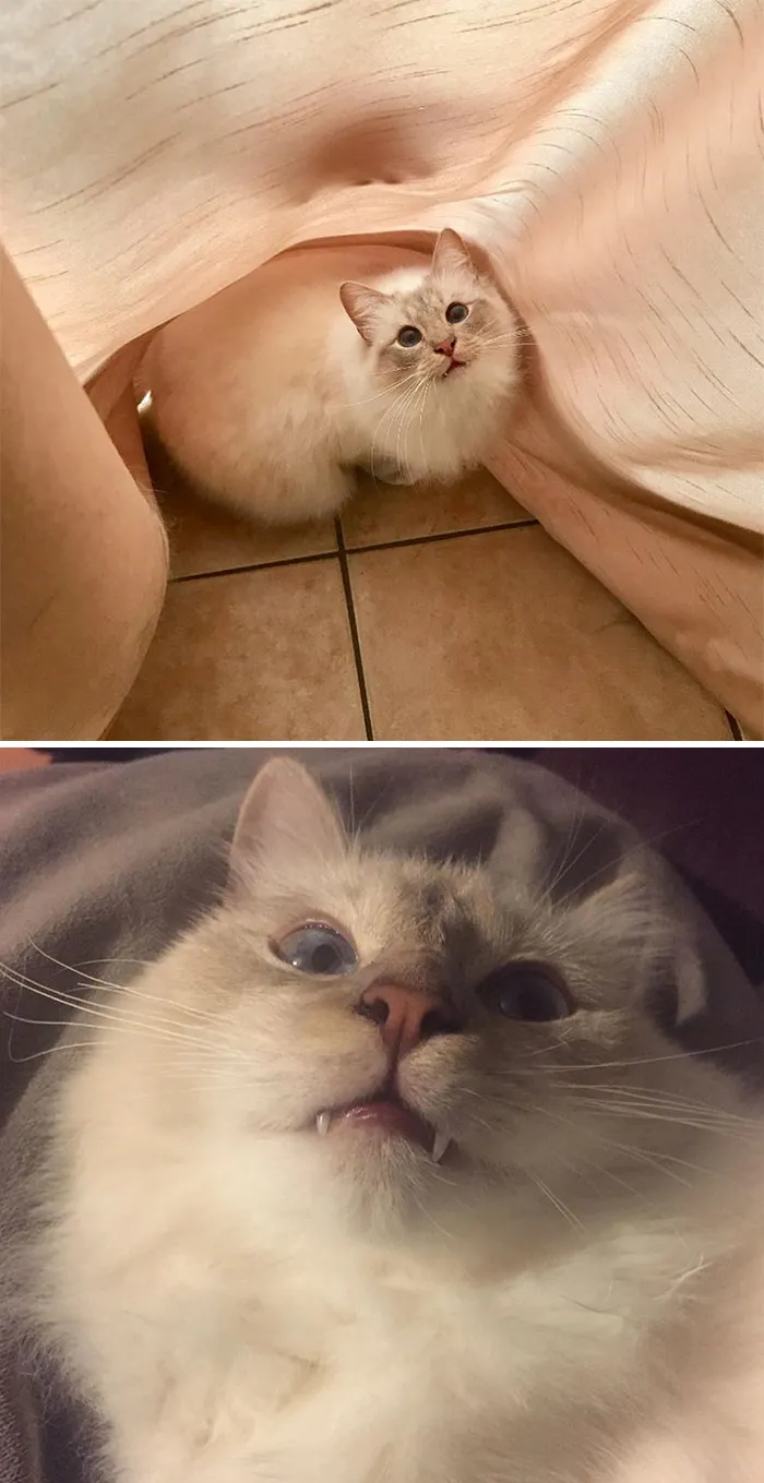 People Are Sharing Honest Instagram Vs. Reality Comparisons (30 Pics)