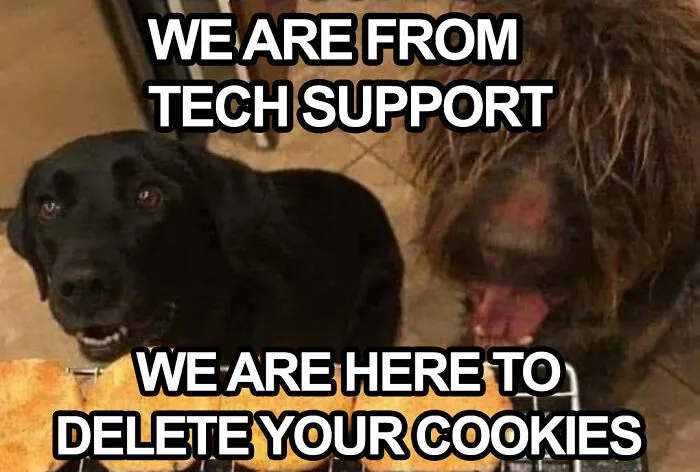 Unexpected IT Help