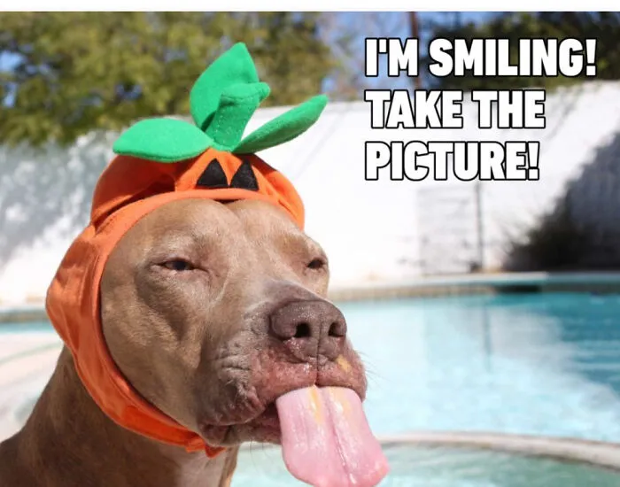 I’m Smiling