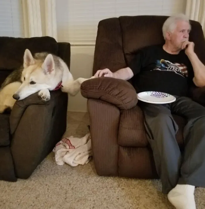30 Of The Most Wholesome Responses To The 'Didn't Want A Dog' Challenge