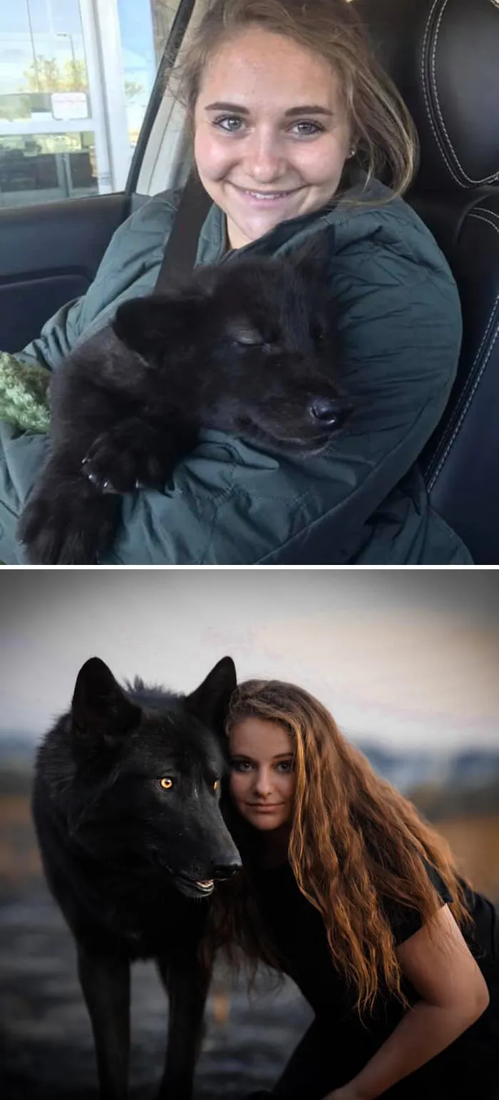 People Are Sharing How Their Pets Have Changed In A Wholesome "Then And Now" Challenge (30 Pics)