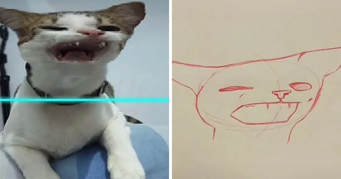 17 Funny Illustrations Of Cats And Dogs After They Were Captured With The Time Warp Scan Filter, Drawn By An Artist On TikTok