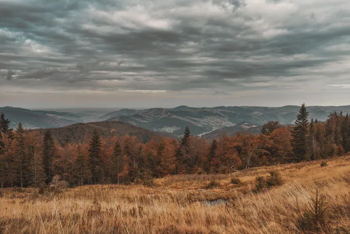 My 35 Photographs Of Ukrainian Carpathians 