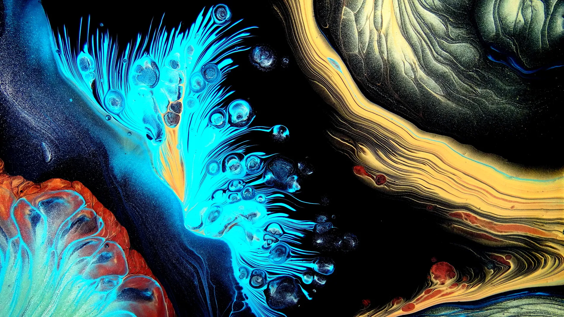 Deep Sea ~ Split Cup Pour ~ Fluid Art Painting ~ #staycreative ~ Fiona Art