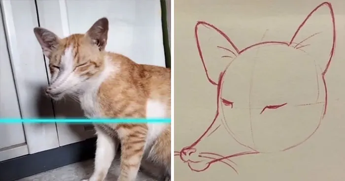 17 Funny Illustrations Of Cats And Dogs After They Were Captured With The Time Warp Scan Filter, Drawn By An Artist On TikTok