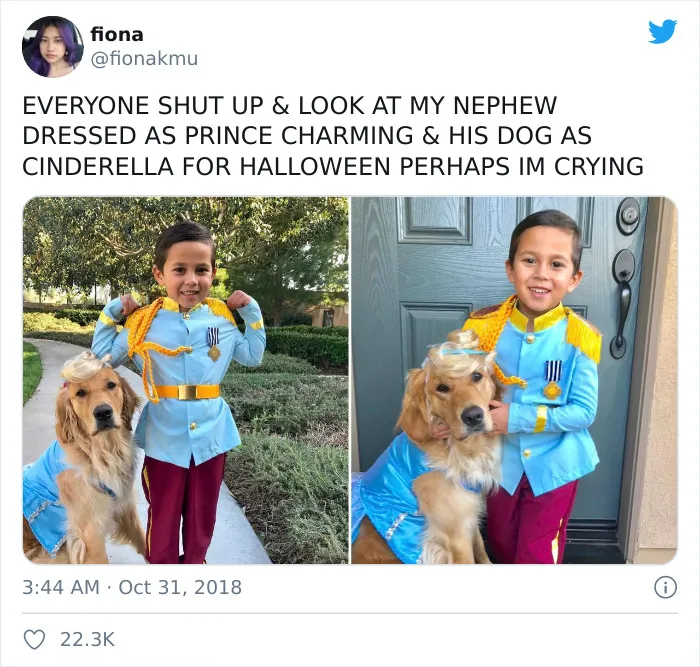 El príncipe Encantador y Cenicienta