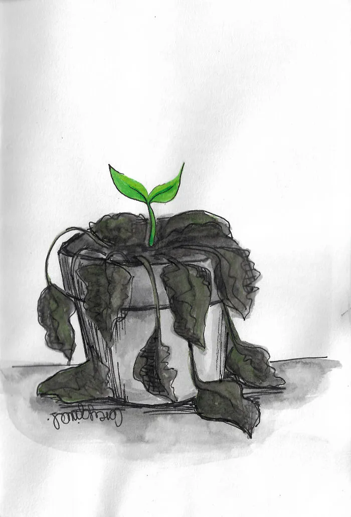Day 10 - Hope