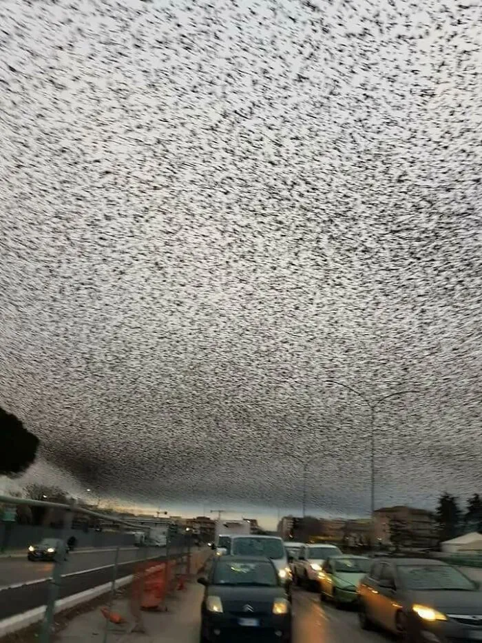 El cielo de Roma ayer