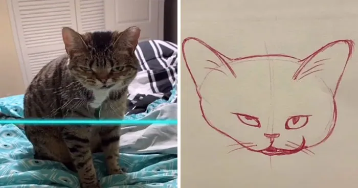 17 Funny Illustrations Of Cats And Dogs After They Were Captured With The Time Warp Scan Filter, Drawn By An Artist On TikTok
