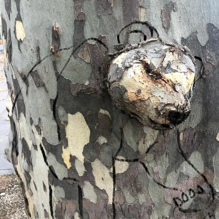 30 Actos geniales de vandalismo realizados por este artista francés